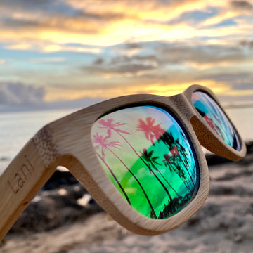 Premium Polarized Lenses
